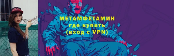 прущие грибы Вязники